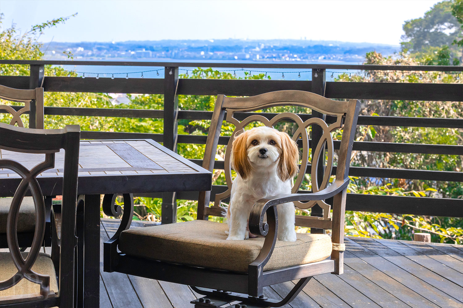 オーシャンヴィラ　ブリーズ&ドッグ-Breeze＆Dog-