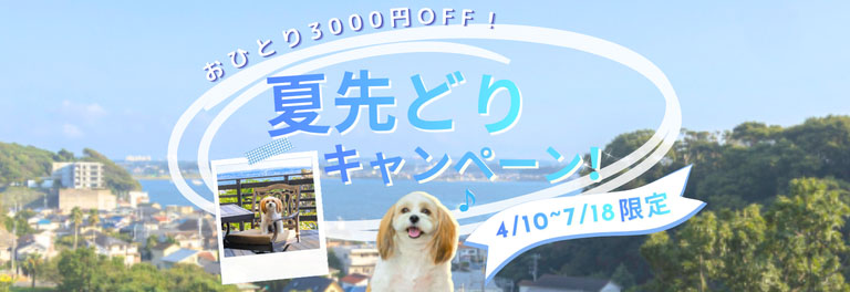 夏先取りセールバナー